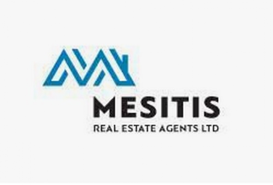 Mesitis Real Estate