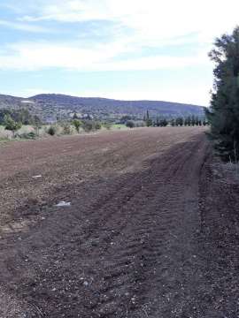 LAND FOR SALE